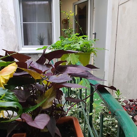 Ok Lux Apartments Krasków Εξωτερικό φωτογραφία